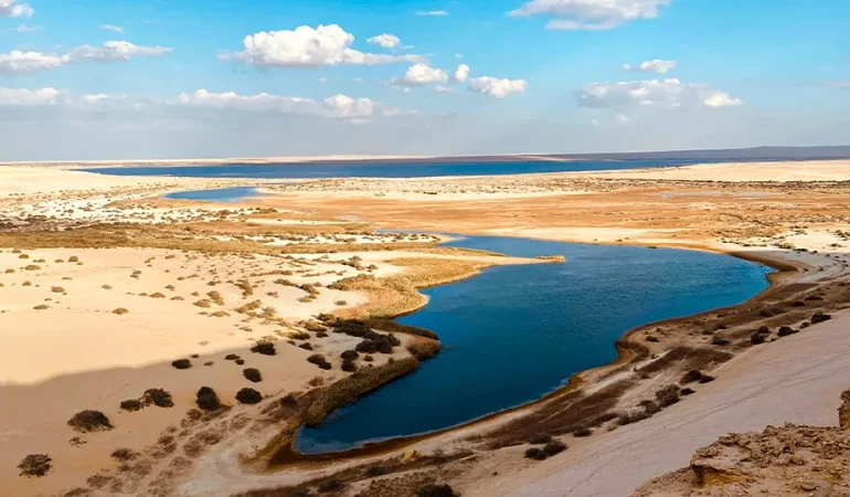 Fayoum & Wadi El Rayan Day Use